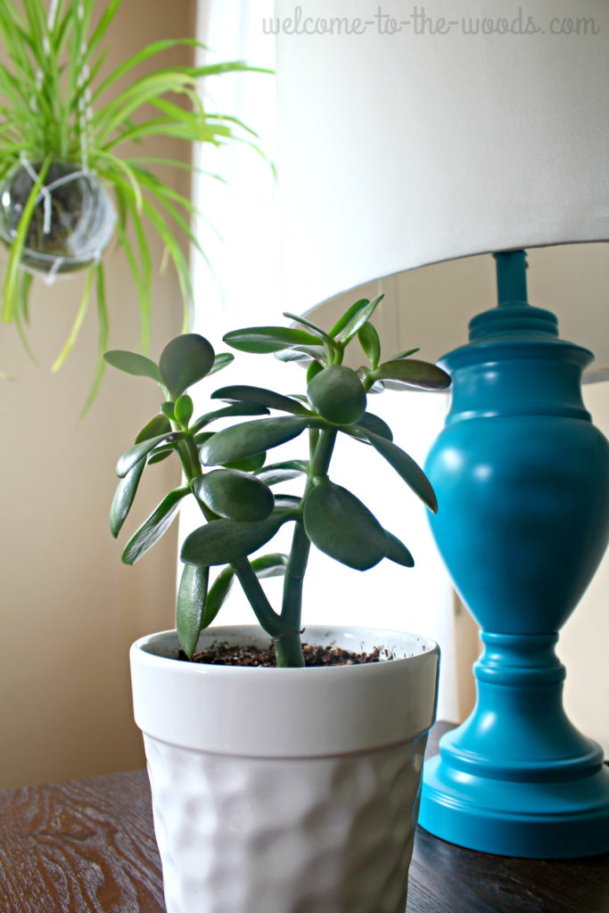 Adding plants to room design is considered a neutral and can be paired with any color.