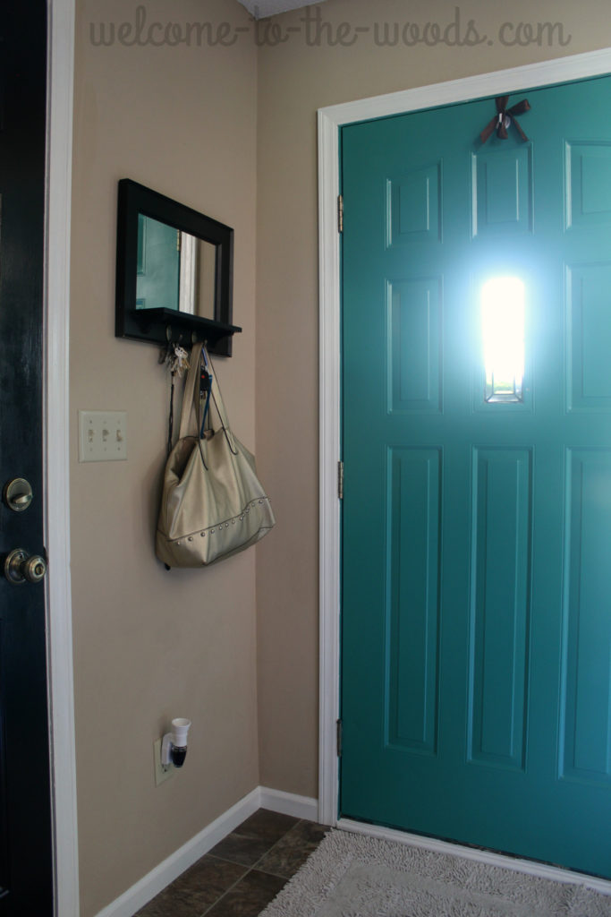 Paint the outside AND inside of your front door a cheery, bright color like teal.