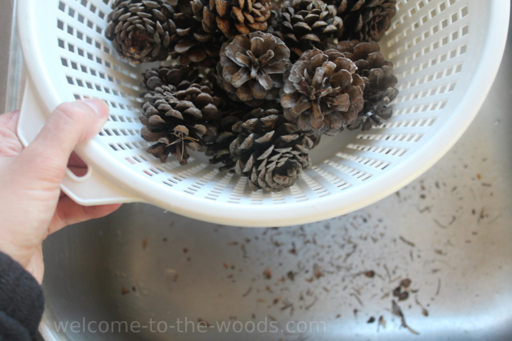 Shake your baked pine cones to get out dirt and debris