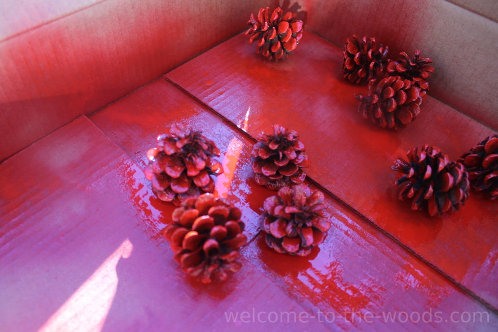 Spray painted pinecones red for the holidays!
