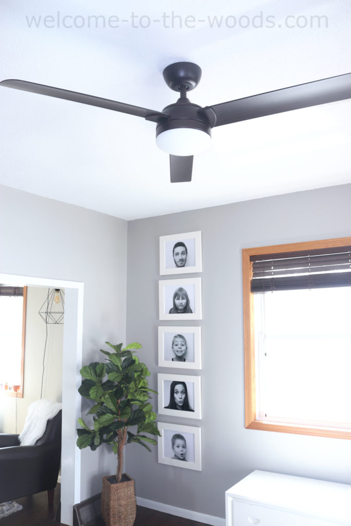 Modern interior decorating 3 blade ceiling fan, funny black and white portraits, fiddle leaf fig tree, contemporary style