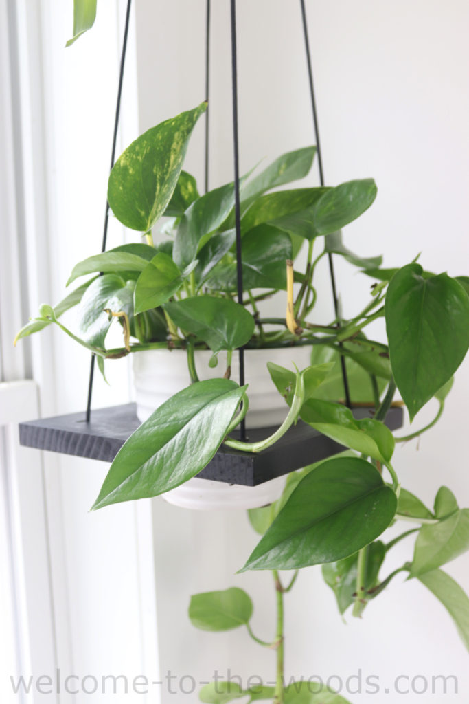 This modern DIY hanging planter is easy and unique!